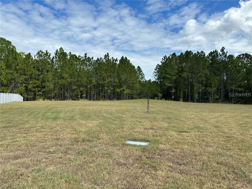 00 Shooting Star Court New Port Richey FL 34655 W7872163 image3