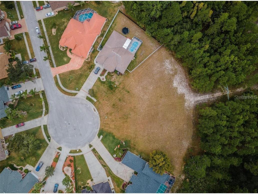 00 Shooting Star Court New Port Richey FL 34655 W7872163 image8