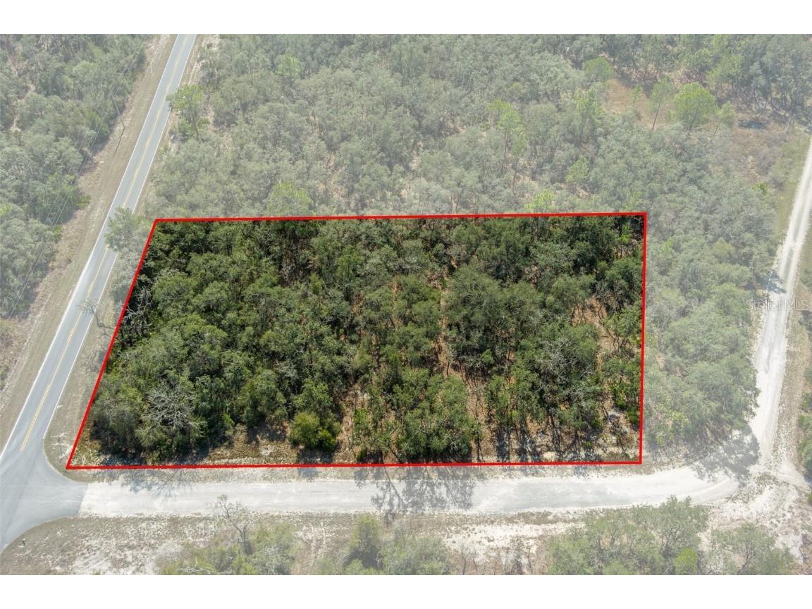 00 Shortstone Drive Webster FL 33597 W7872265 image1