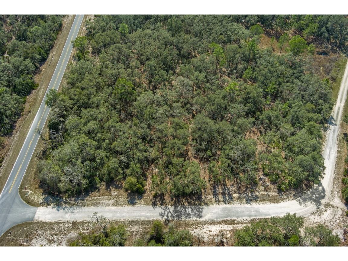 00 Shortstone Drive Webster FL 33597 W7872265 image2