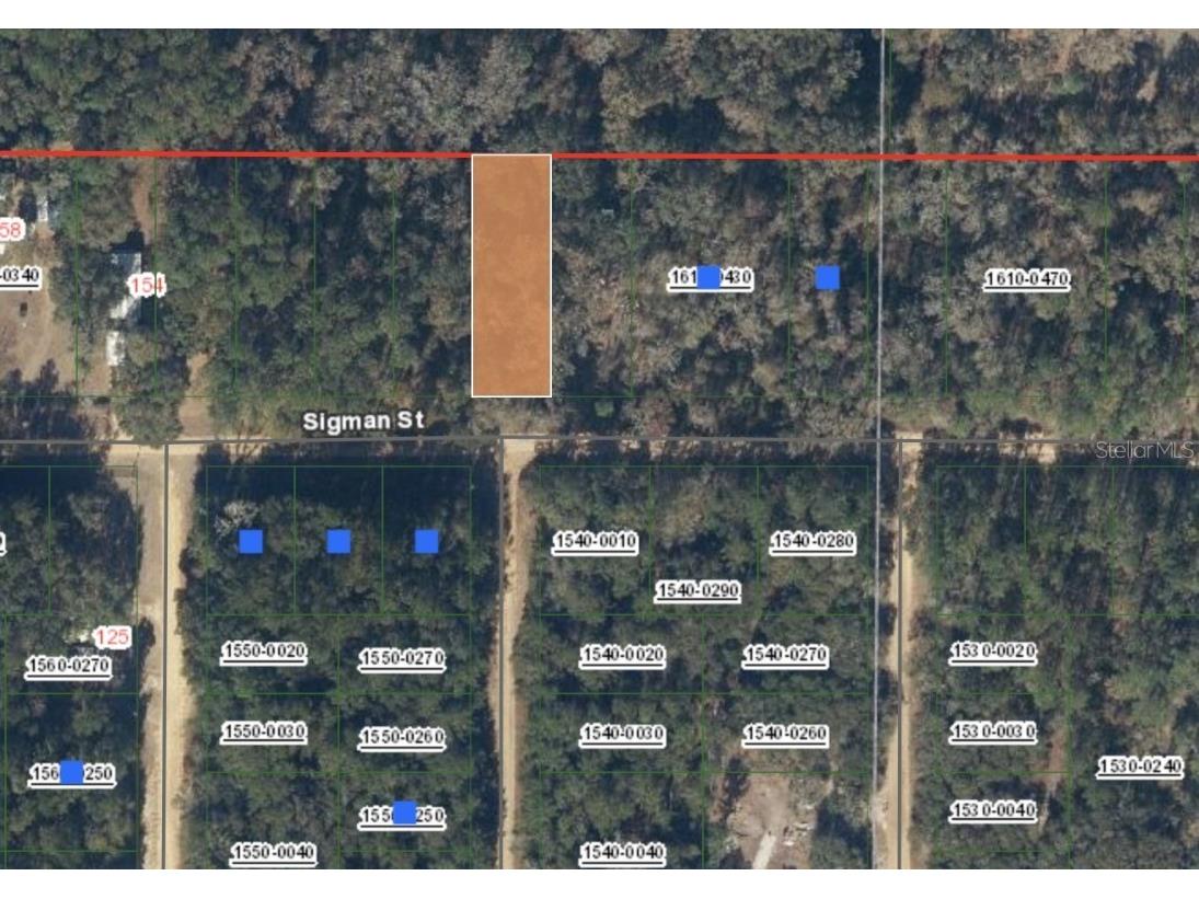 00 Sigman Street Interlachen FL 32148 OM697616 image1