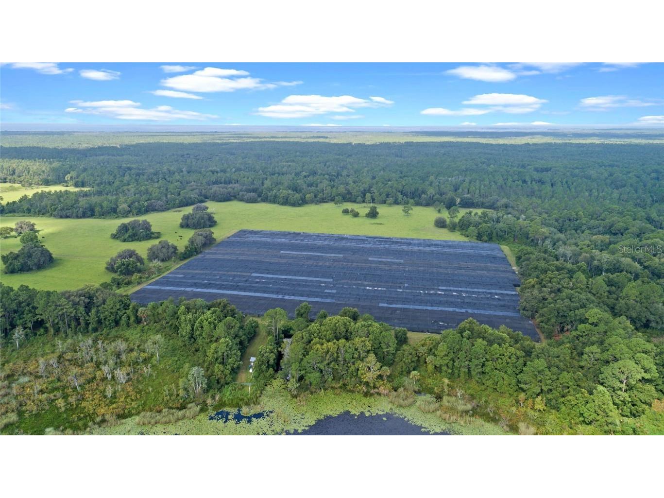 00 Silver Pond Road Seville FL 32190 - Davis Lake V4938596 image10