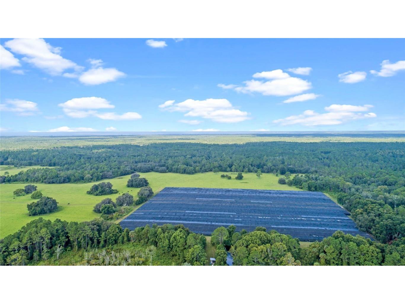 00 Silver Pond Road Seville FL 32190 - Davis Lake V4938596 image15