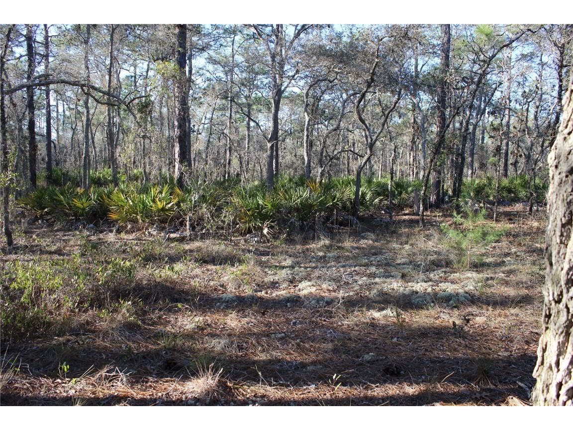 00 Snowbird Avenue Weeki Wachee FL 34614 U8231987 image1