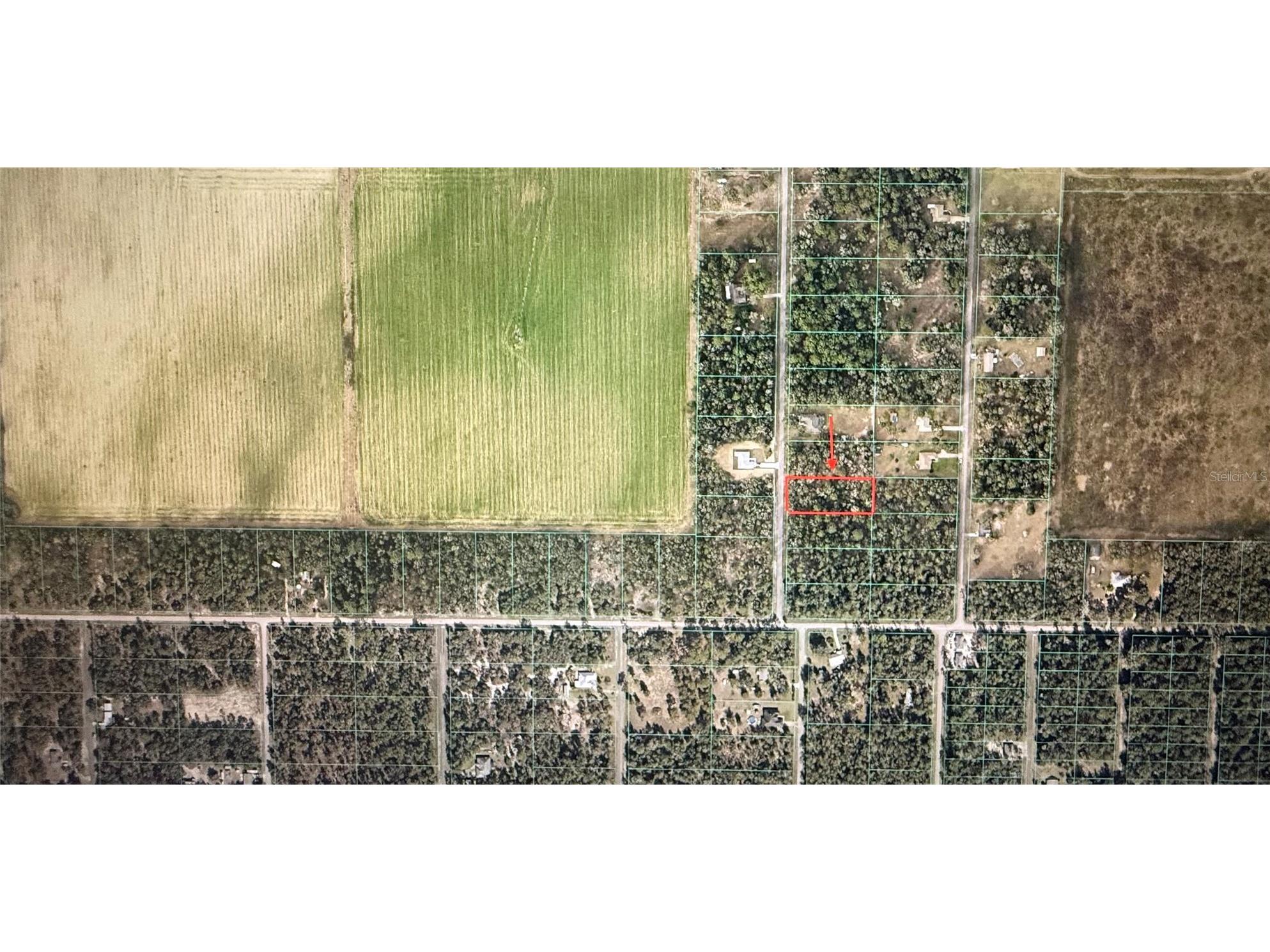 00 Southwest Valencia Heights Avenue Dunnellon FL 34431 O6418906 image1
