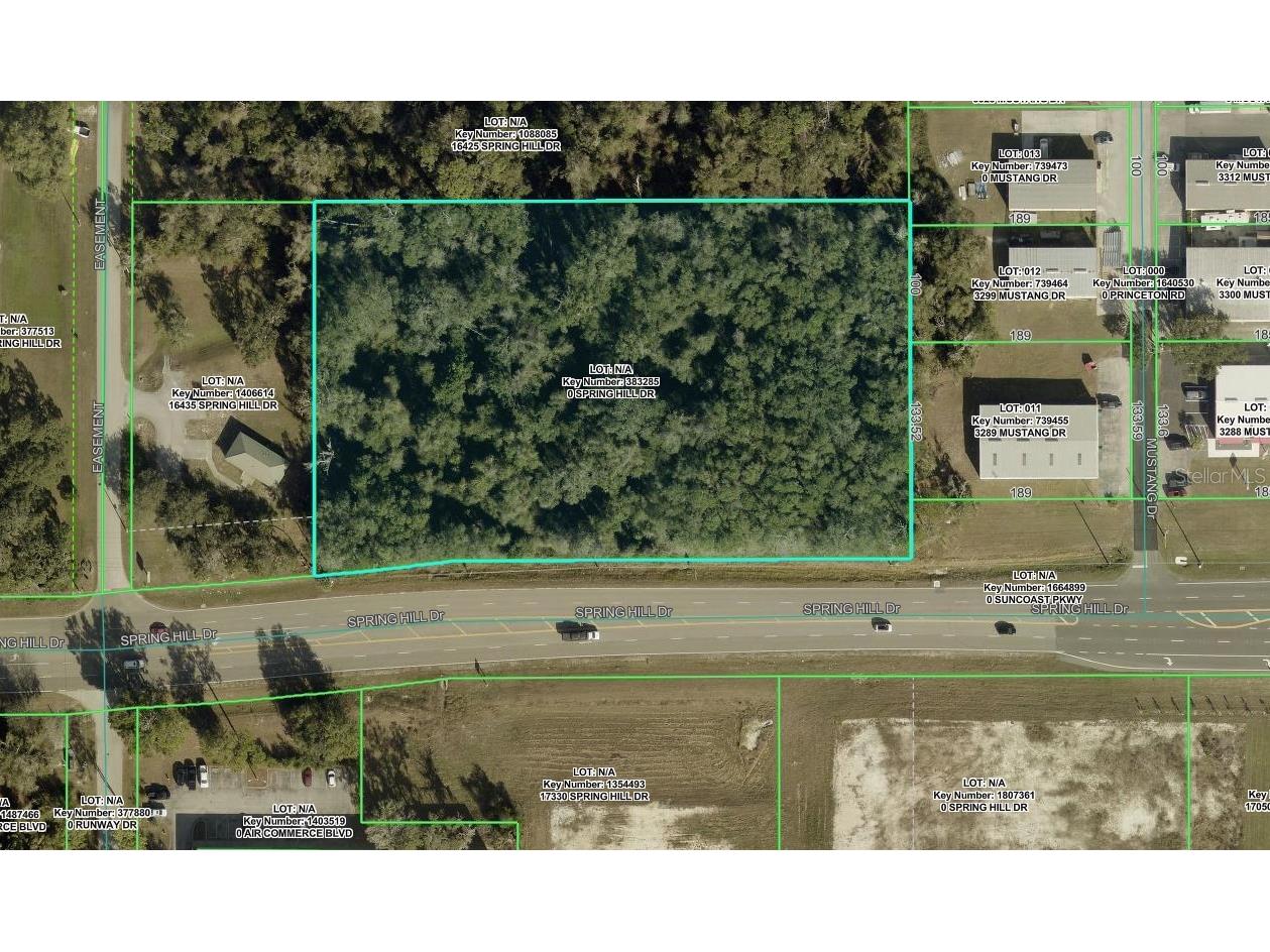 00 Spring Hill Drive Brooksville FL 34604 W7884618 image3