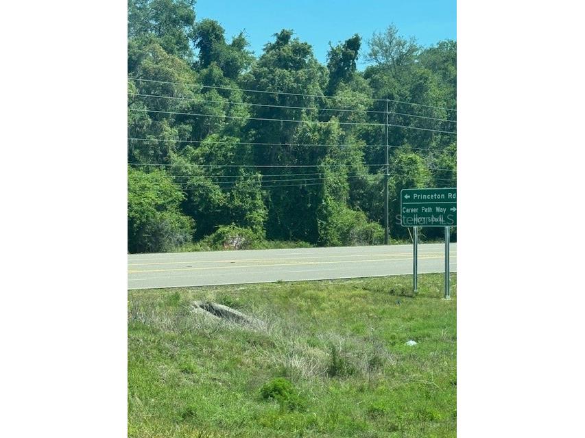 00 Spring Hill Drive Brooksville FL 34604 W7884618 image5