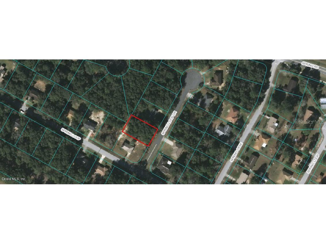 00 Spring Loop Drive Ocala FL 34472 OM523339 image1