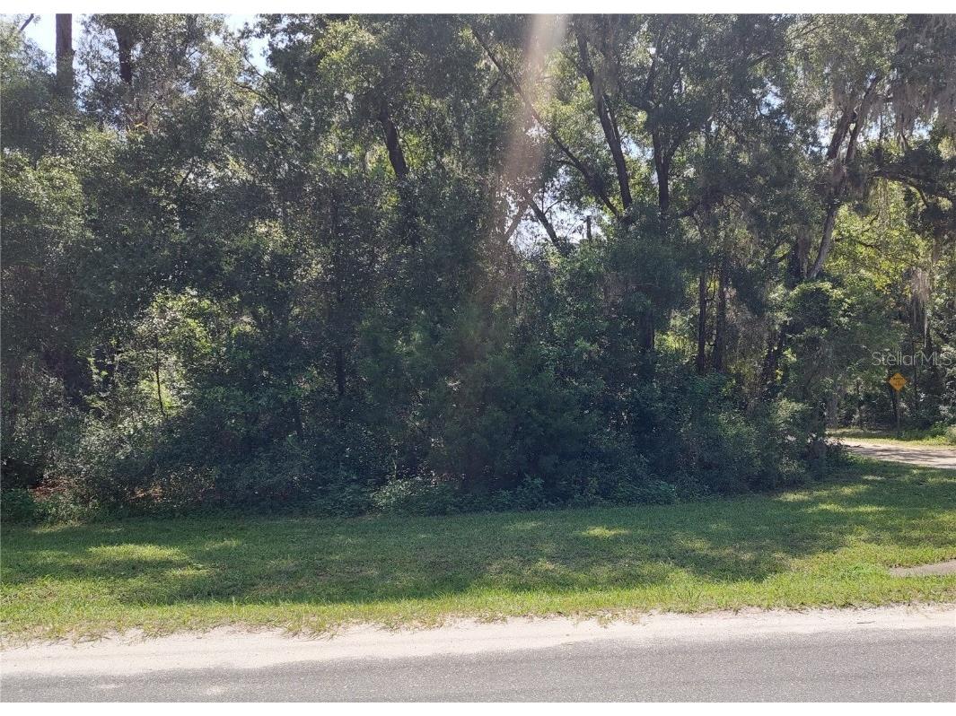 00 St. Benedict Drive Dunnellon FL 34432 OM682269 image1