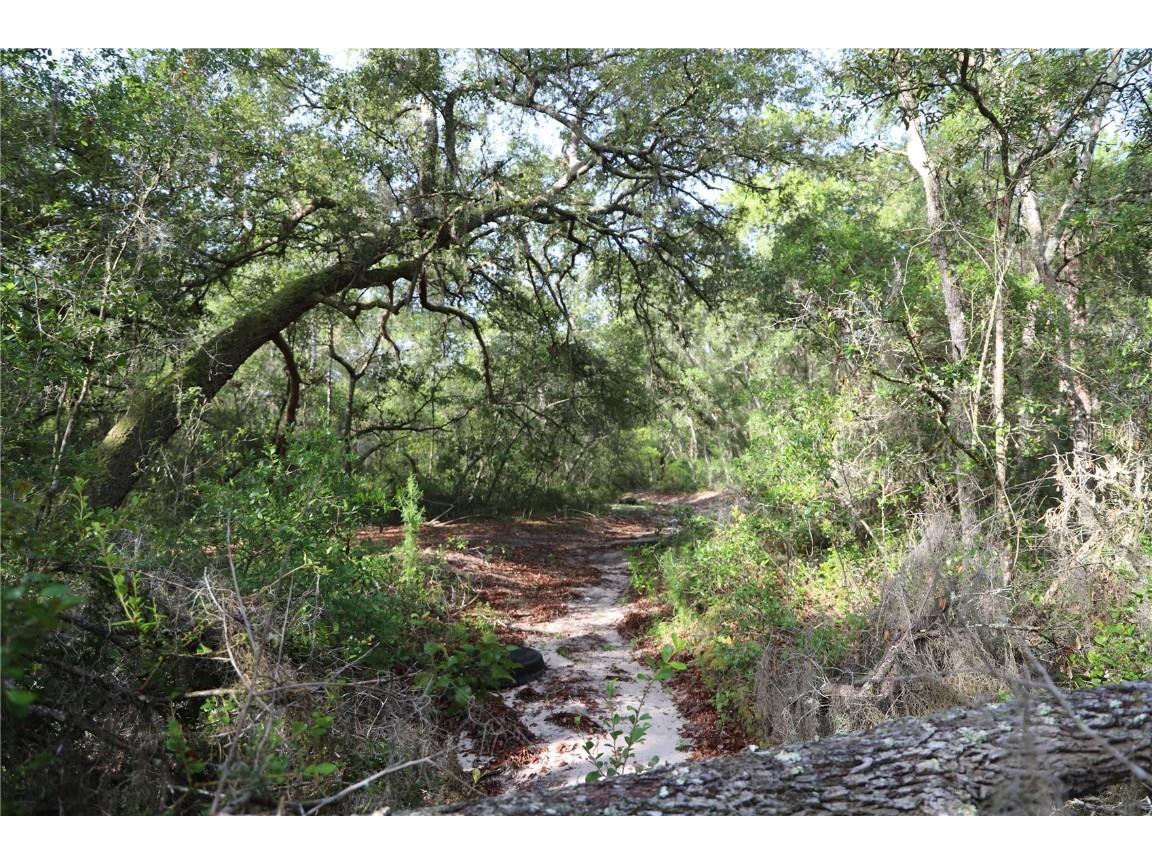 00 State Road 100 Keystone Heights FL 32656 GC531795 image2