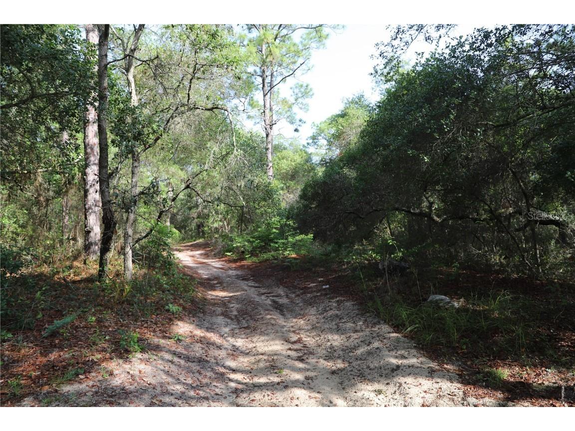 00 State Road 100 Keystone Heights FL 32656 GC531795 image6