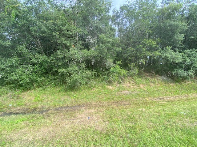 00 State Road 44 Eustis FL 32726 G5070159 image1