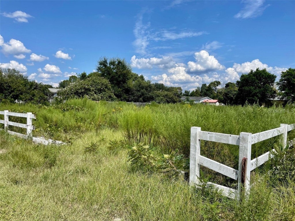 00 Sunset Harbor Road Summerfield FL 34491 OM664157 image1