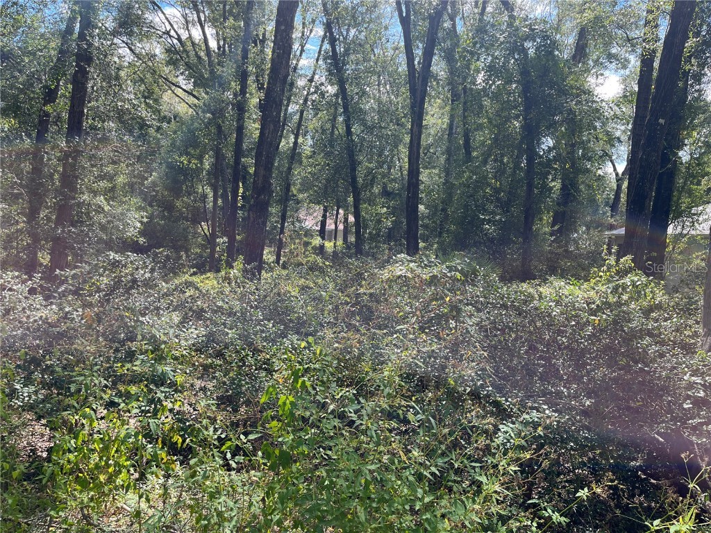 00 SW 101st Place Road Dunnellon FL 34432 - RAINBOW RIVER OM666114 image1