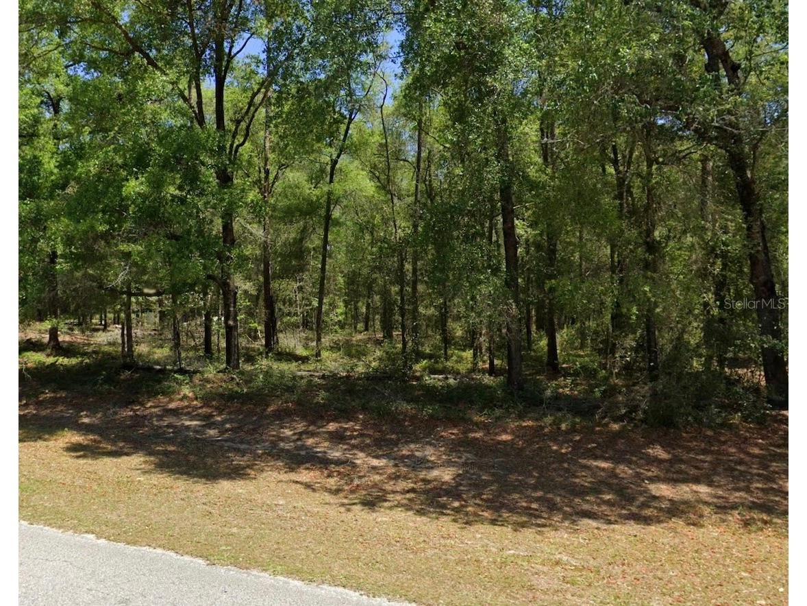 00 SW 102nd Street Road Dunnellon FL 34432 OM722201 image1