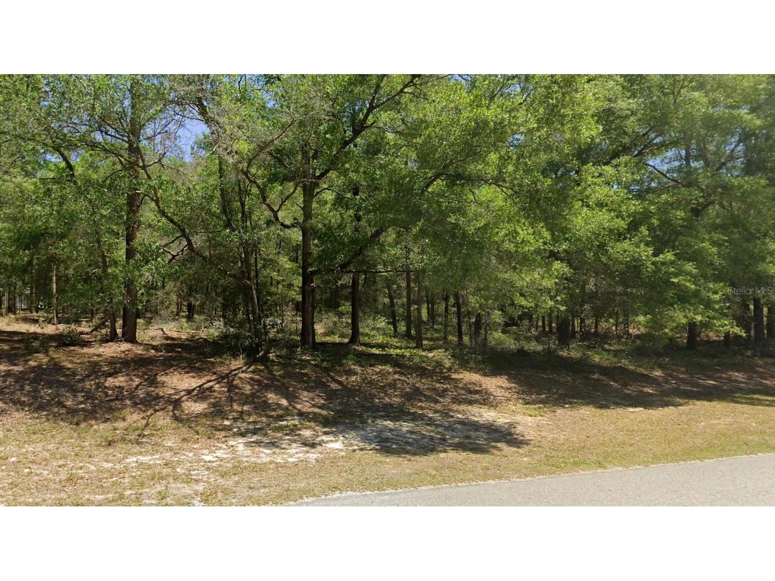 00 SW 102nd Street Road Dunnellon FL 34432 OM722201 image2