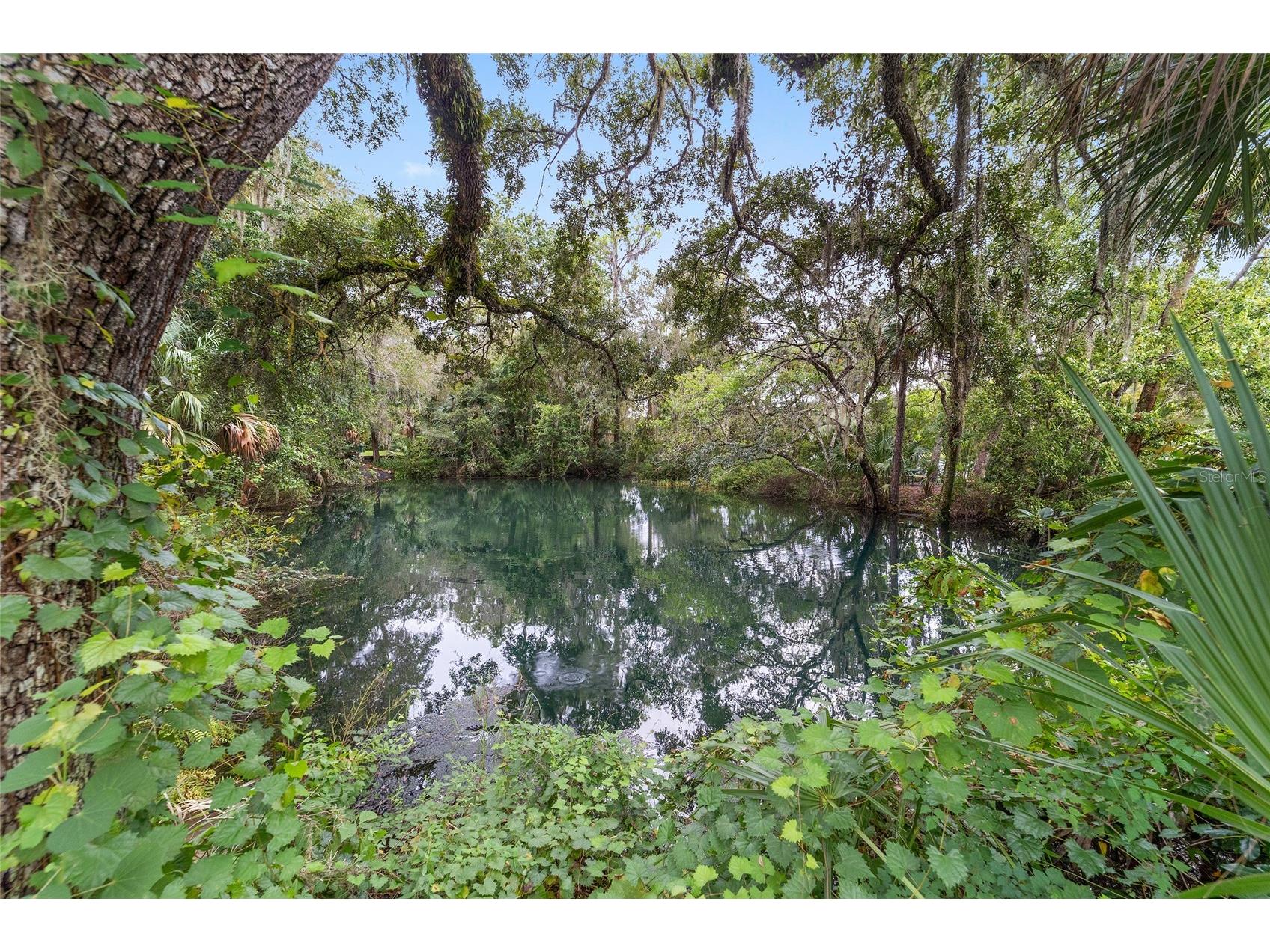 00 SW 102nd Street Road Dunnellon FL 34432 OM722201 image21