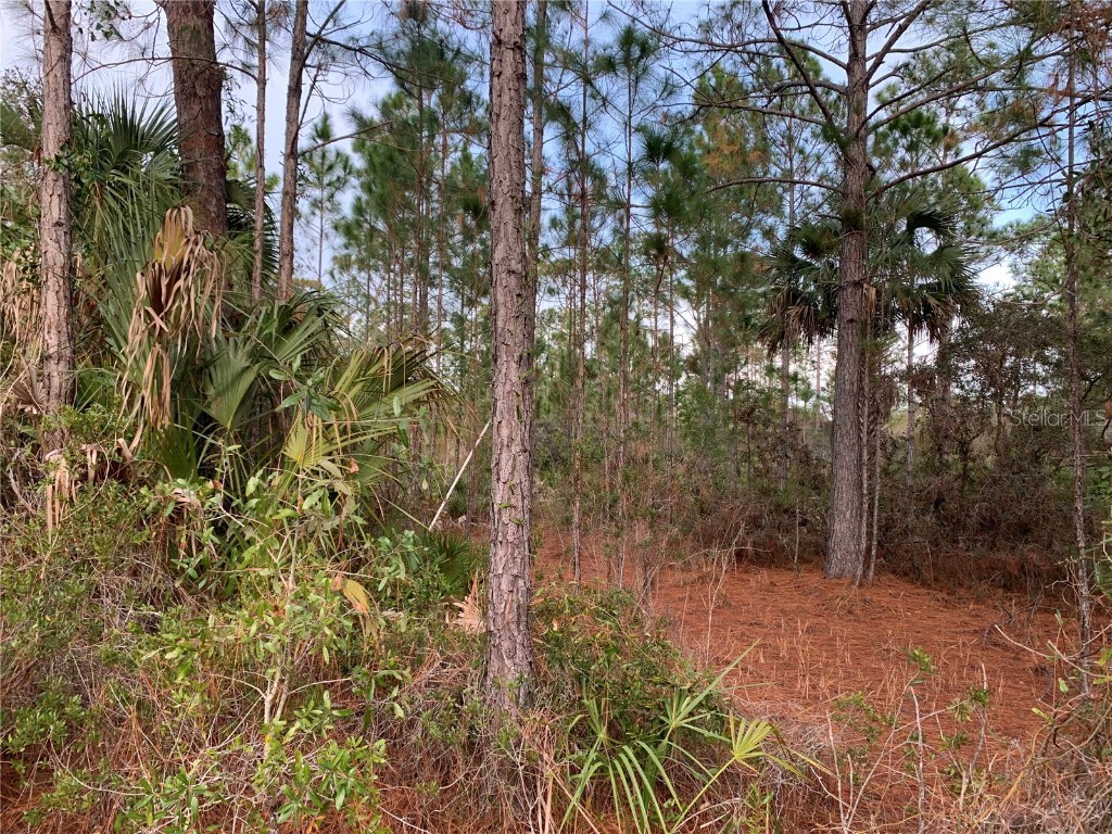 00 SW 103rd Court Cedar Key FL 32625 W7859927 image1