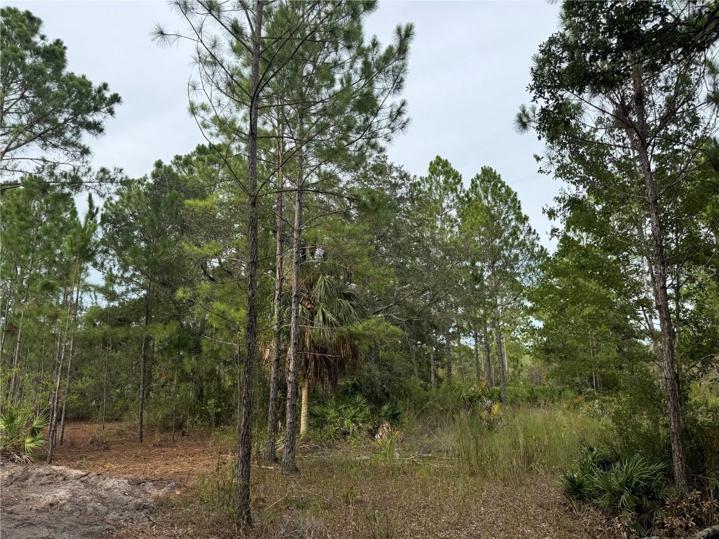 00 SW 103rd Court Cedar Key FL 32625 W7866911 image3