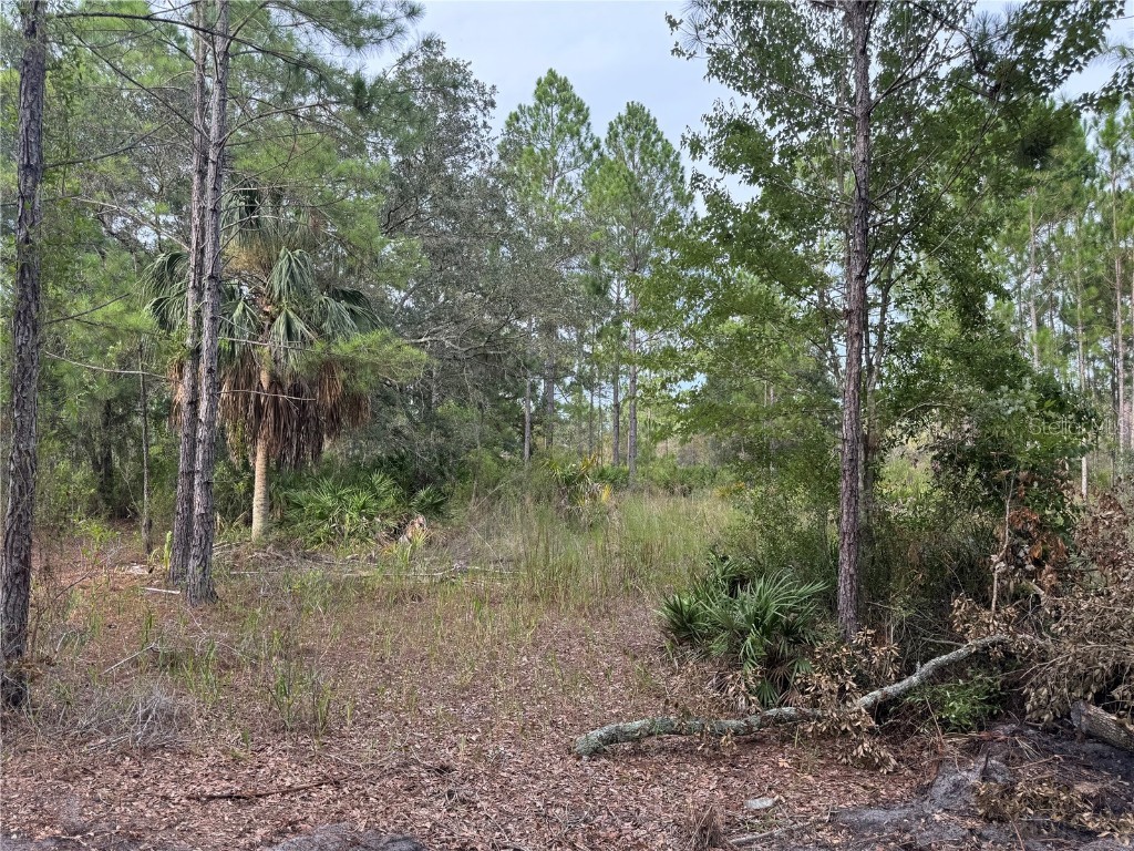 00 SW 103rd Court Cedar Key FL 32625 W7866911 image6