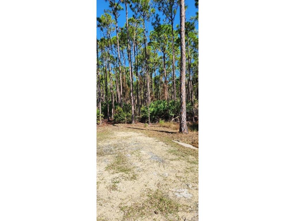 Lot 9 SW 104 Street Cedar Key FL 32625 GC520763 image1