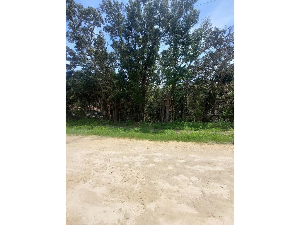 00 SW 106 Place #LOT 16 Dunnellon FL 34432 OM682600 image1