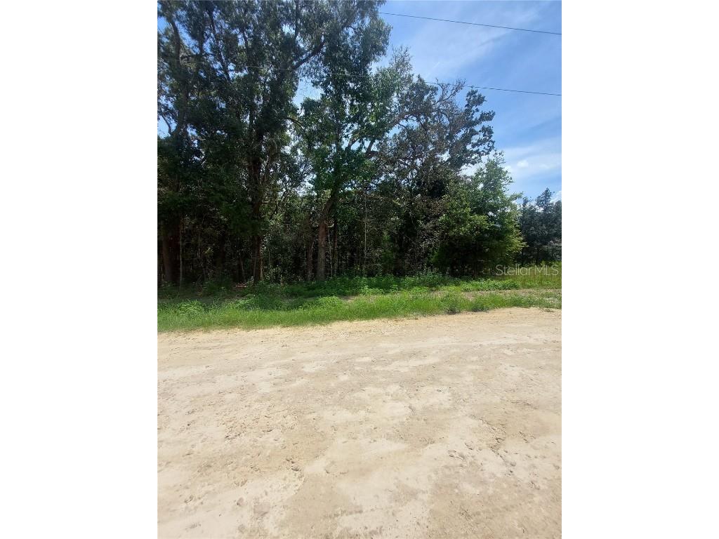 00 SW 106 Place #LOT 17 Dunnellon FL 34432 OM682609 image1