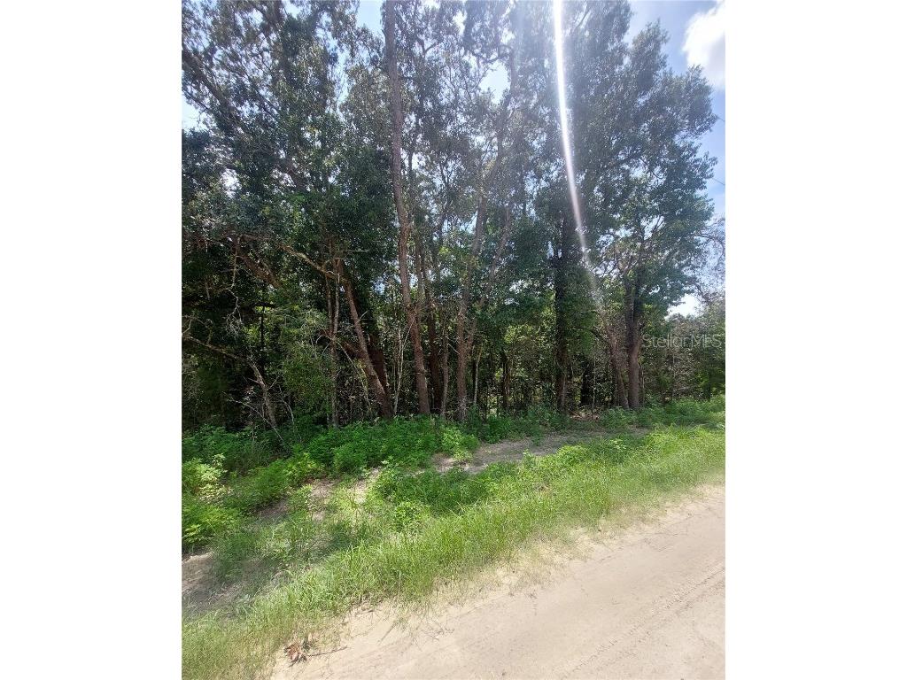 00 SW 106 Street #LOT 7 Dunnellon FL 34432 OM682456 image1