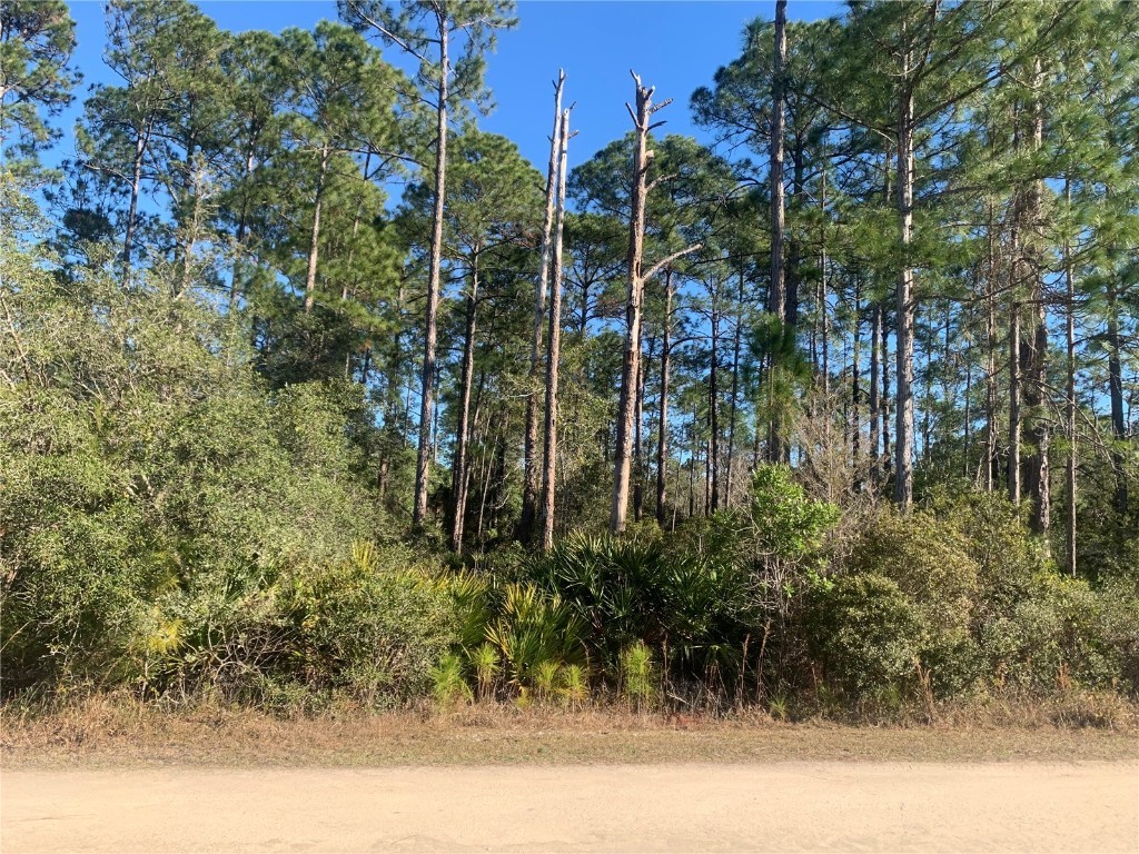 00 SW 125th Avenue Cedar Key FL 32625 W7860778 image1