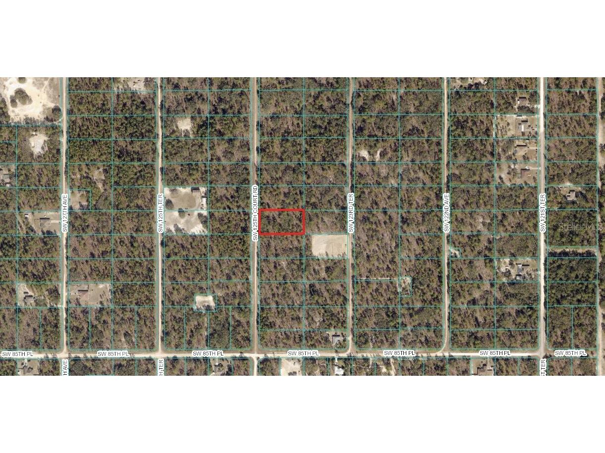 00 SW 125th Ct Road Dunnellon FL 34432 OM647019 image1