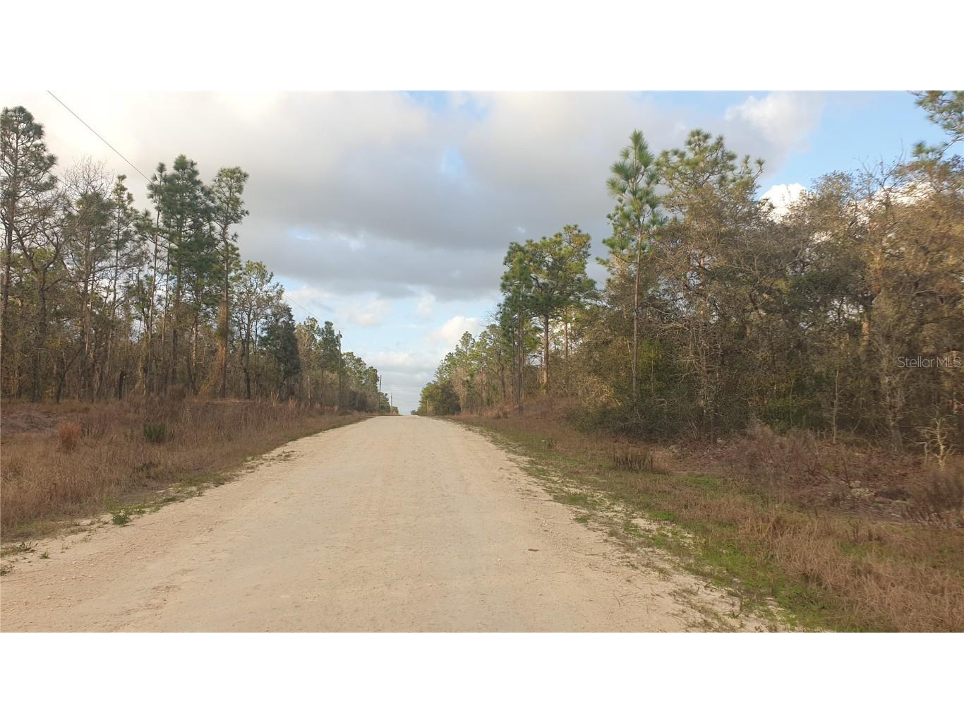 00 SW 125th Terrace Dunnellon FL 34432 A4598060 image1