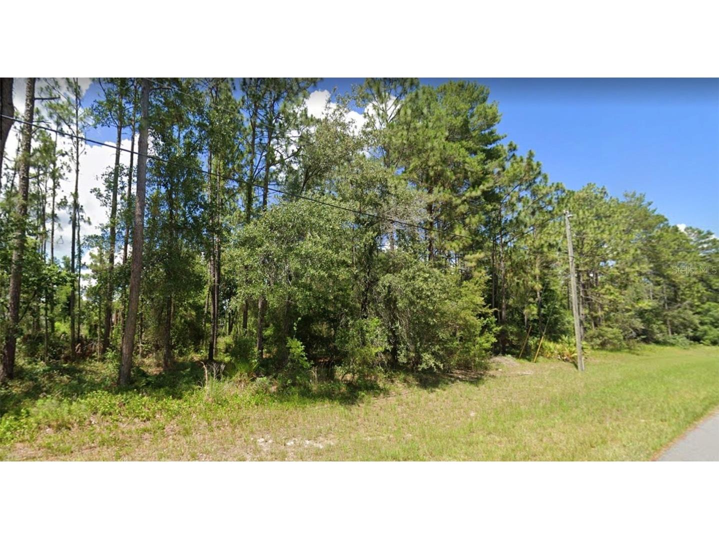 00 SW 129th Place Ocala FL 34473 OM648519 image1