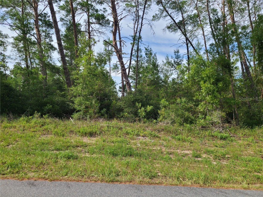00 SW 129th Place Ocala FL 34473 OM680330 image1