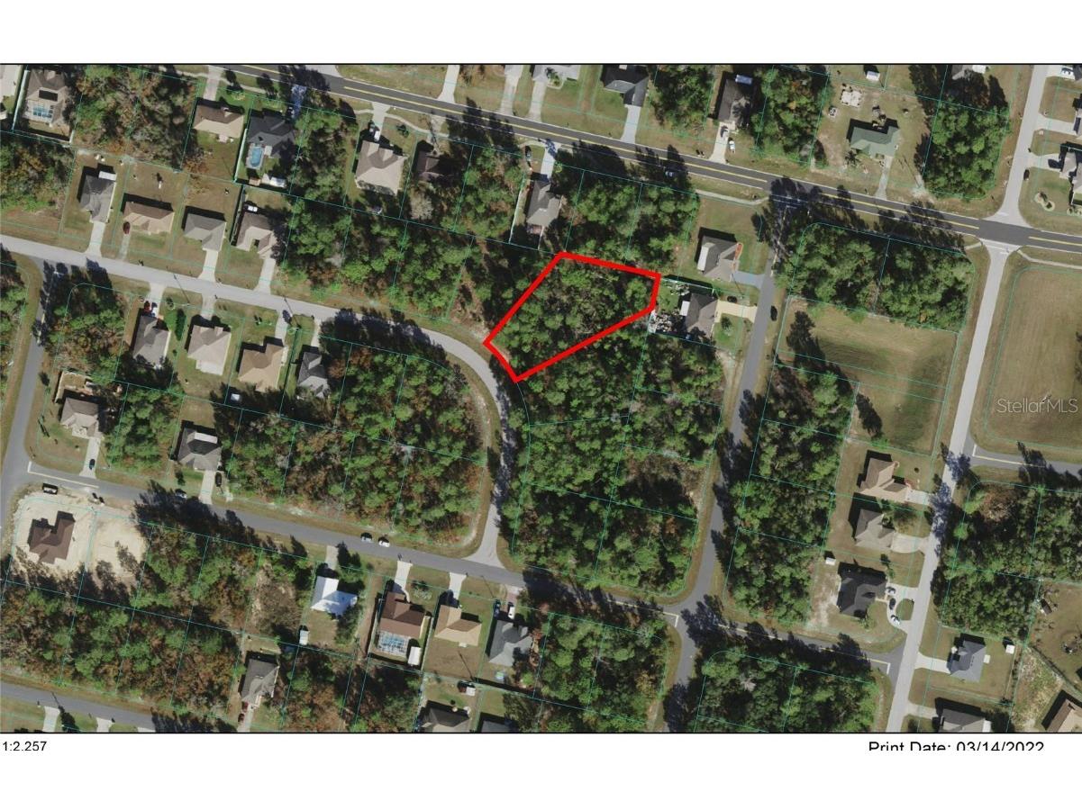 00 SW 130th Loop Ocala FL 34473 OM635777 image1