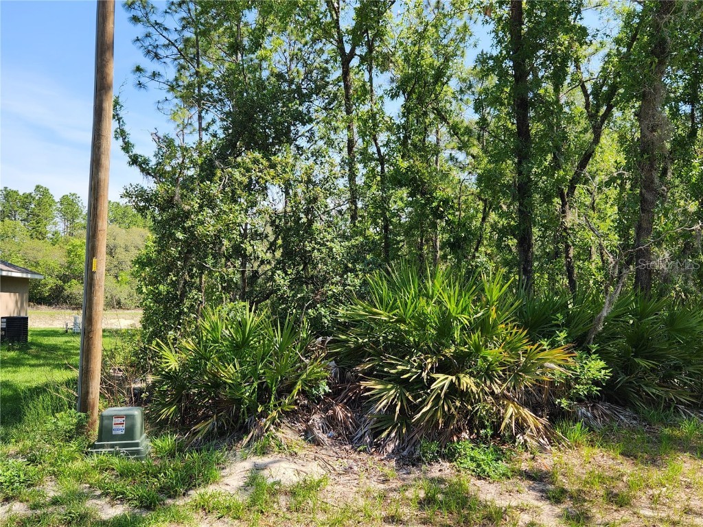 00 SW 133rd Lane Ocala FL 34473 OM657699 image1