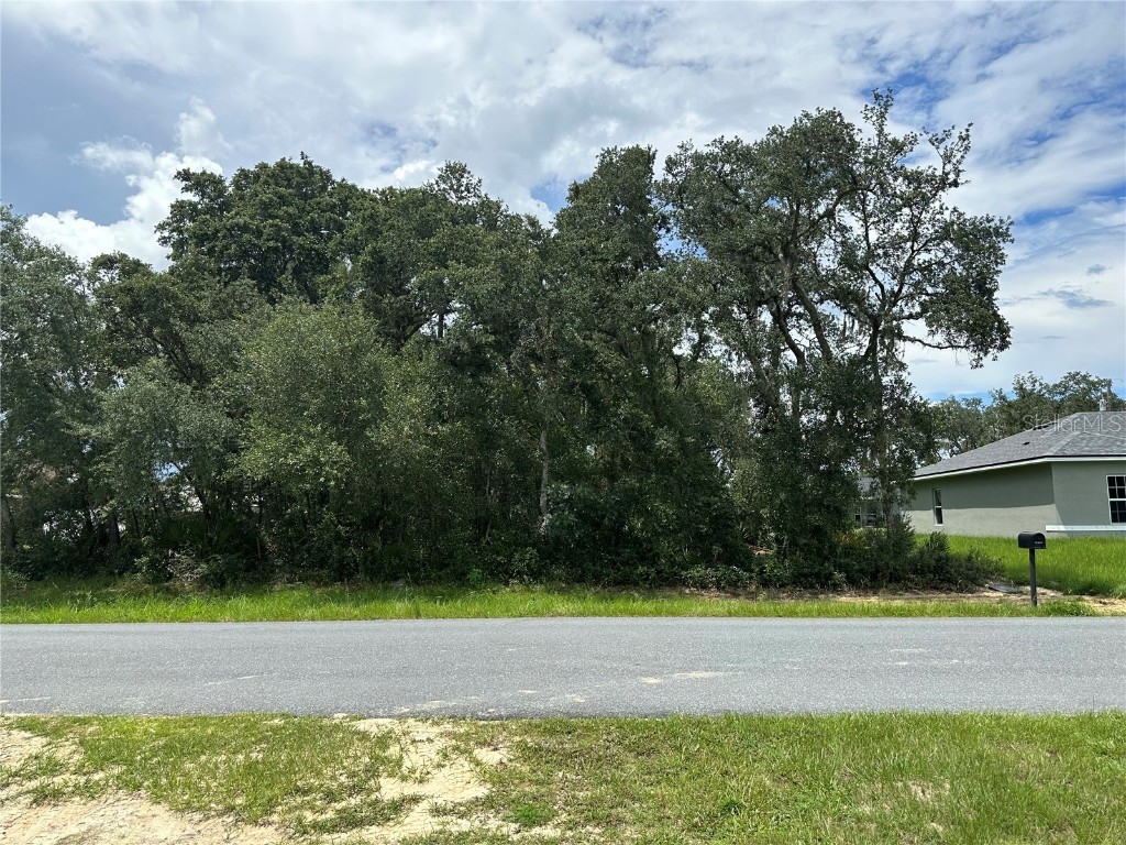 00 SW 133rd. Loop Ocala FL 34473 O6130110 image1