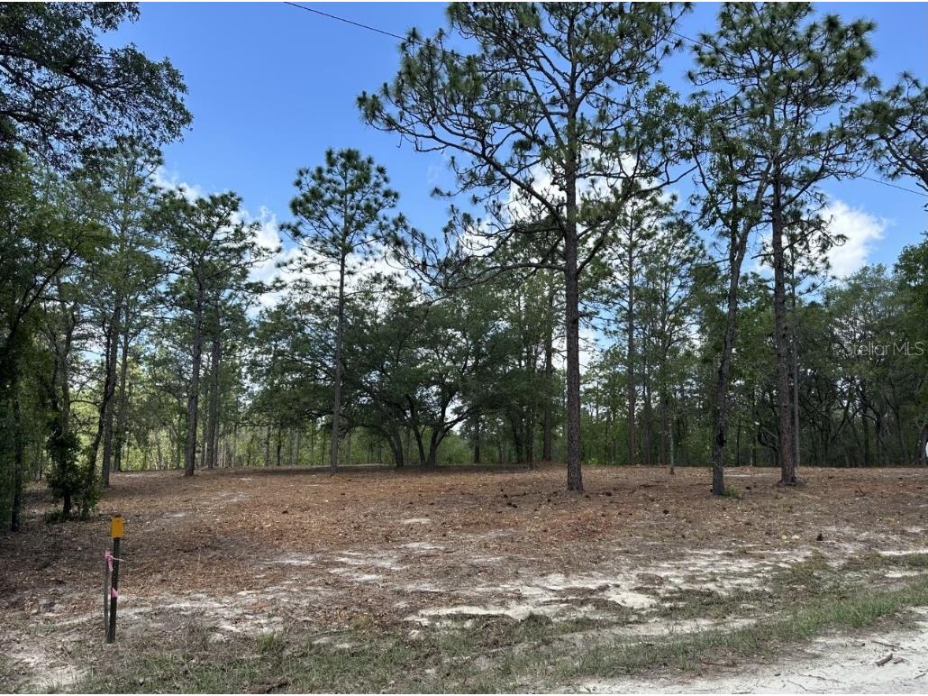 00 SW 134th Avenue Dunnellon FL 34432 OM657279 image1