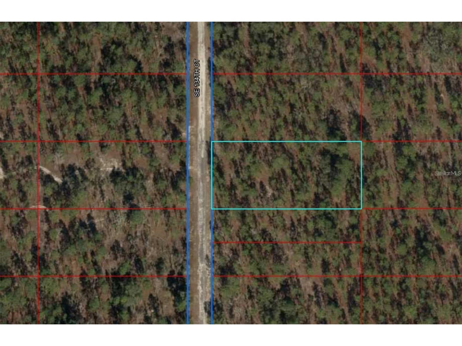 00 SW 134th Court Dunnellon FL 34431 OM727260 image1