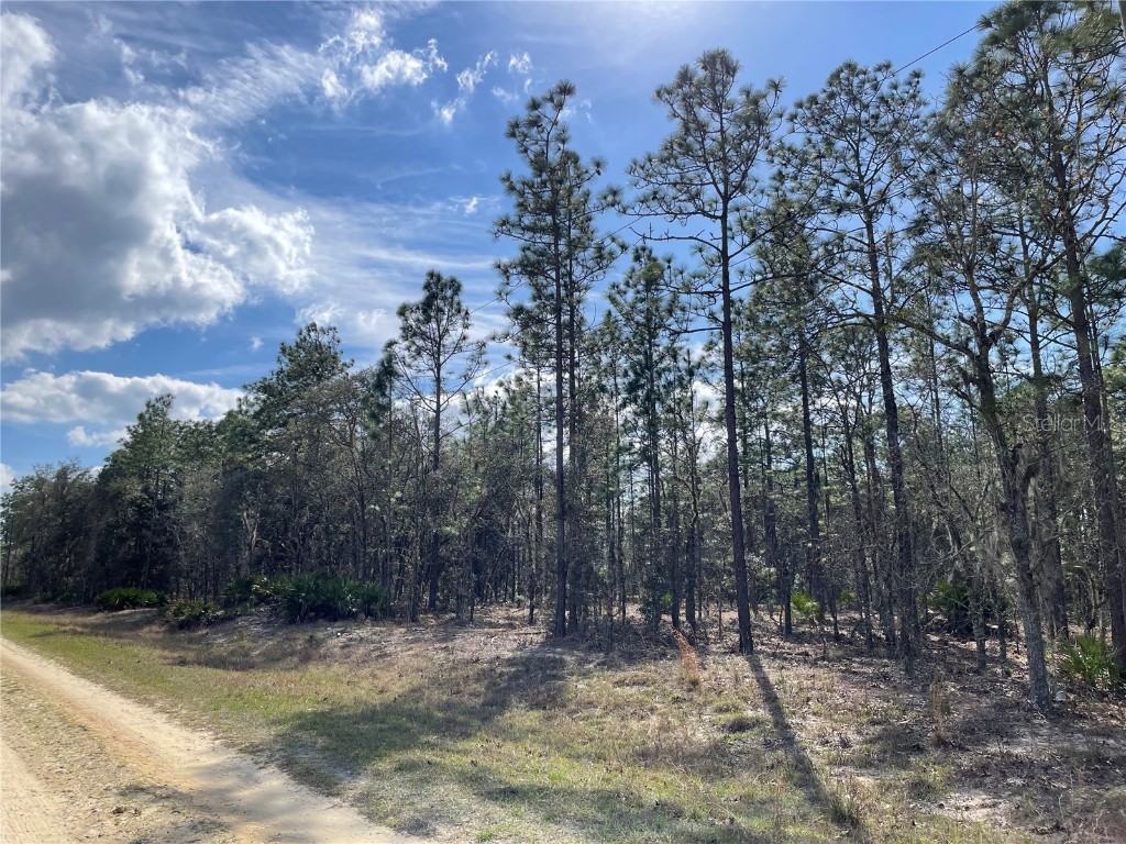 00 SW 135 Avenue SW Dunnellon FL 34432 OM654036 image1