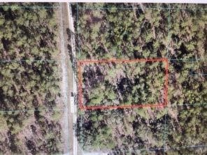 00 SW 136th Terrace Dunnellon FL 34432 OM698878 image1