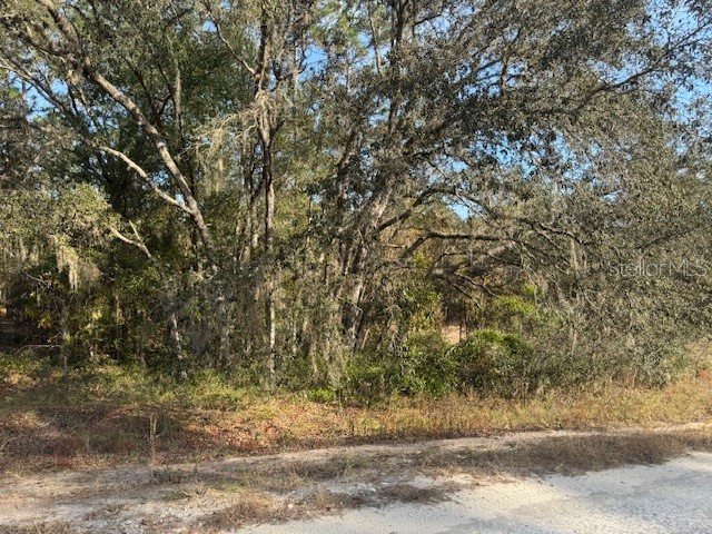 00 SW 136th Terrace Dunnellon FL 34432 OM713623 image1