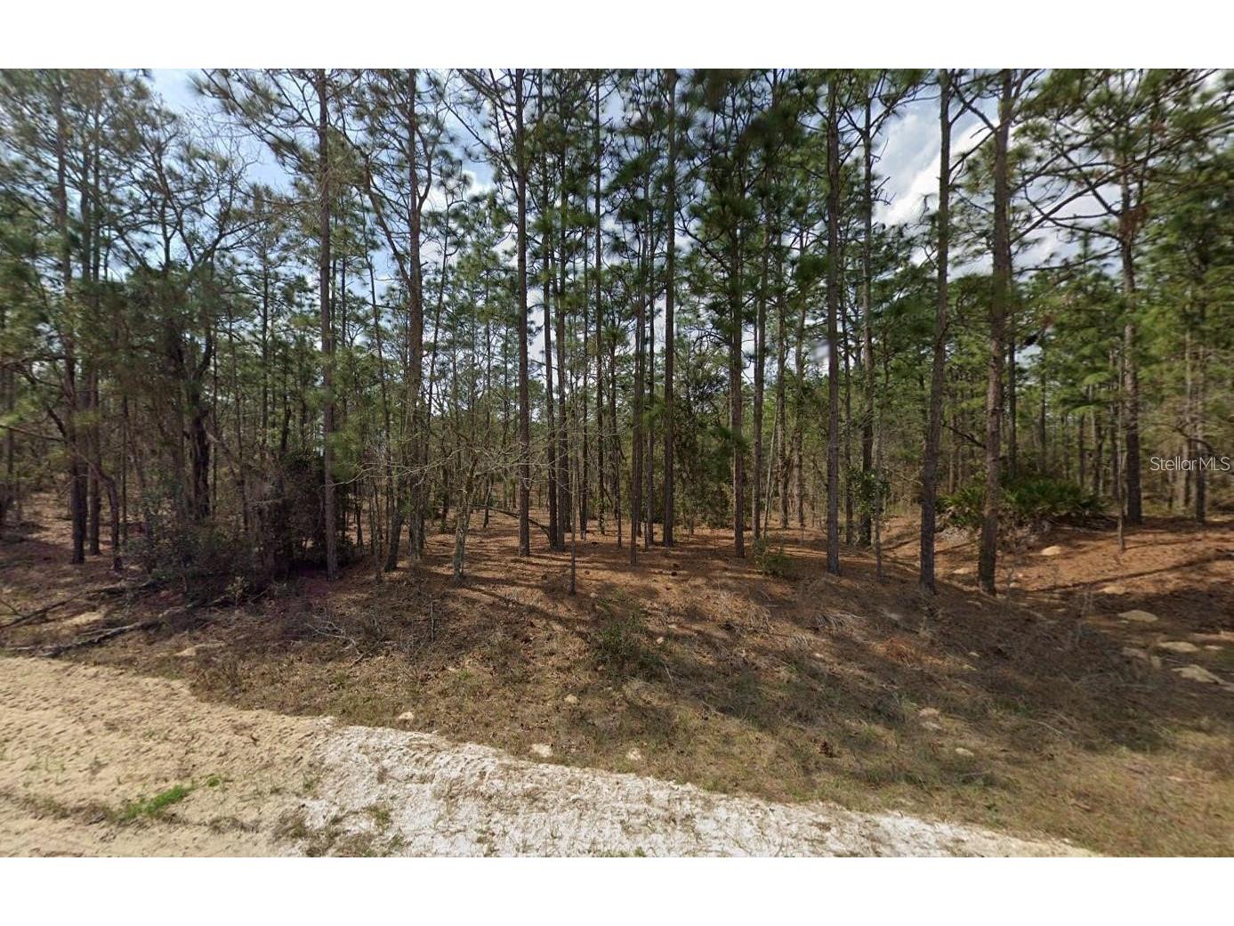 00 SW 137th Court Ocala FL 34481 OM722211 image5