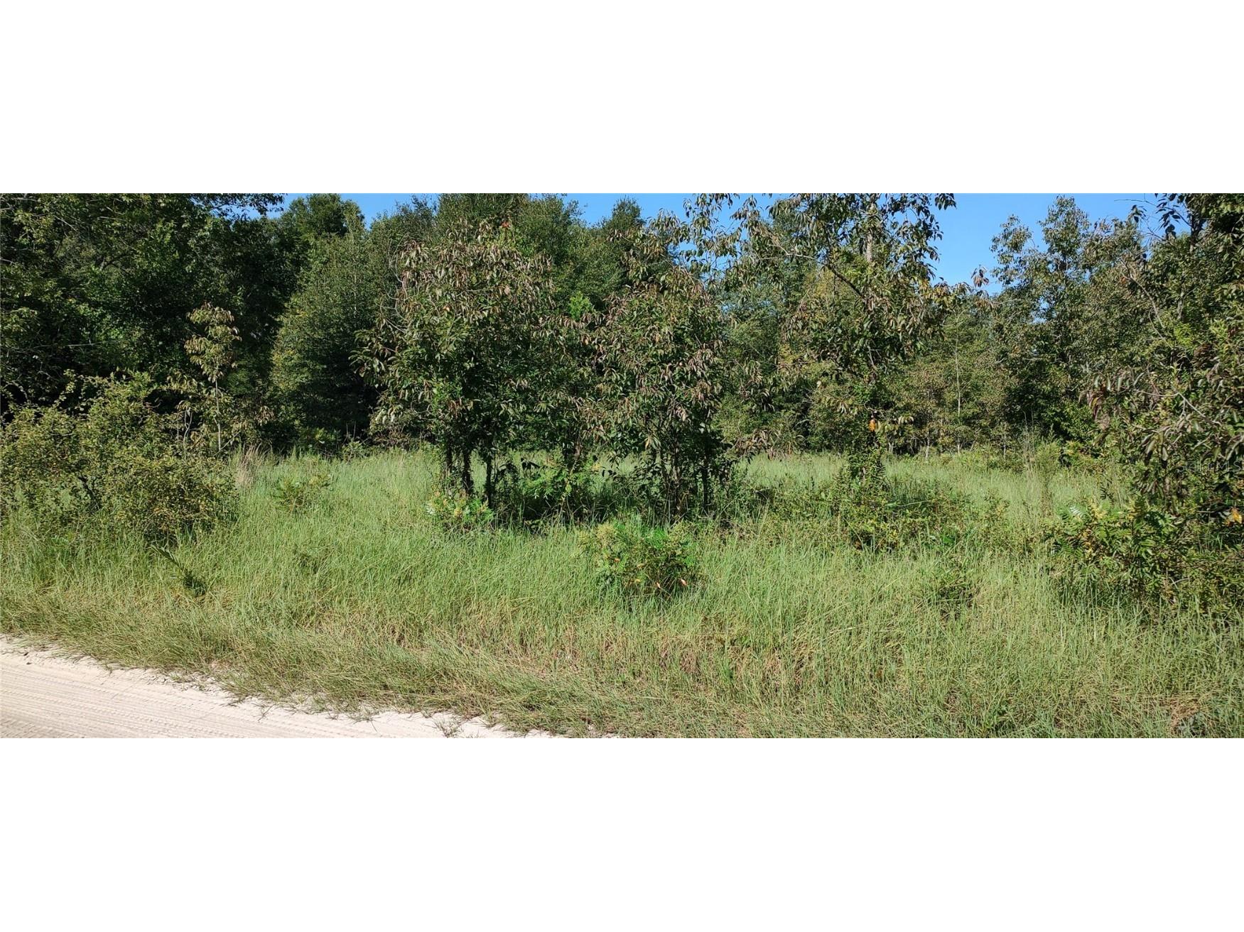 00 SW 145th Court Ocala FL 34481 OM681667 image1