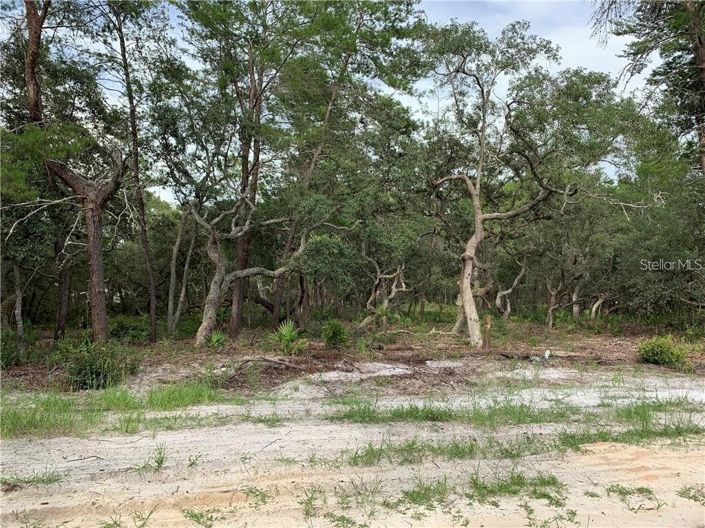 00 SW 150th Street Dunnellon FL 34432 OM654586 image1