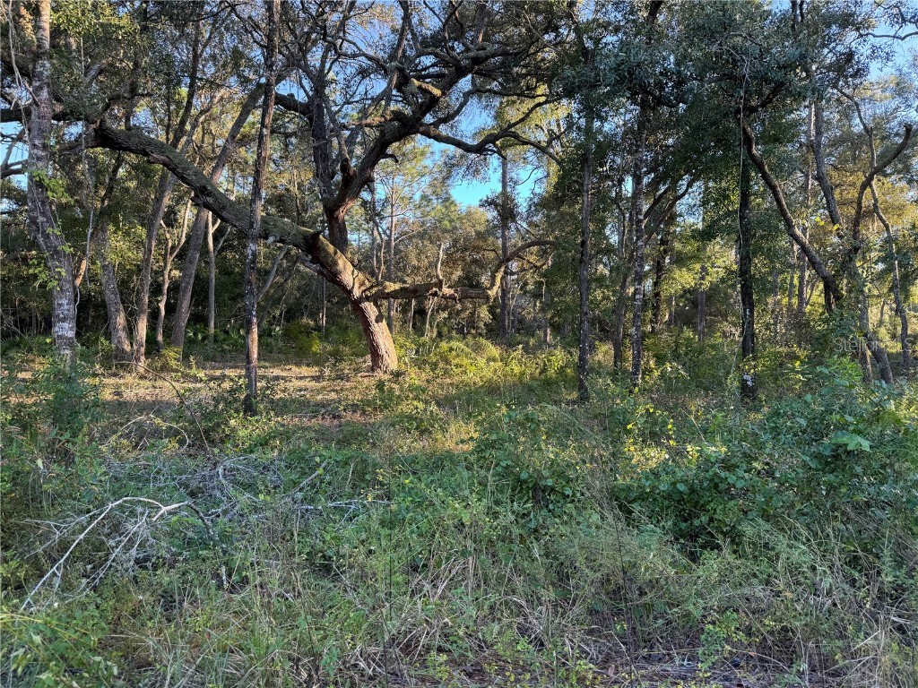 00 SW 152nd Place Dunnellon FL 34432 OM708312 image4