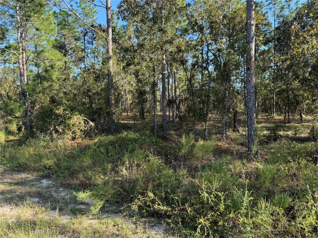 00 SW 152nd Place Dunnellon FL 34432 OM708312 image6