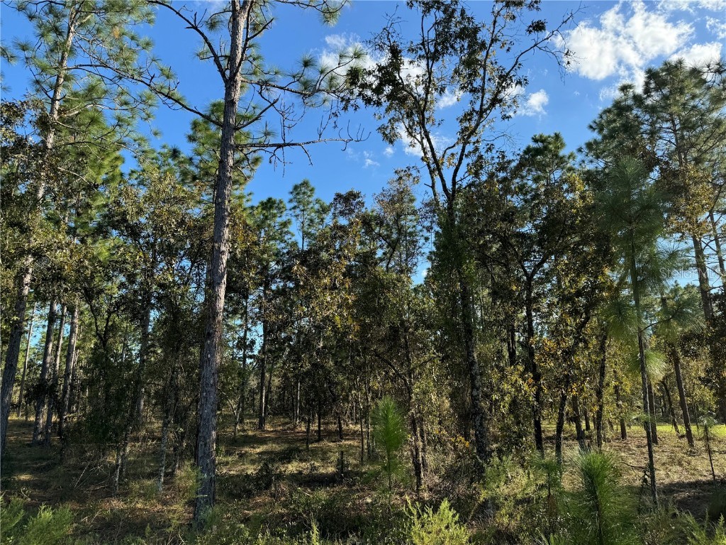 00 SW 152nd Place Dunnellon FL 34432 OM708312 image7