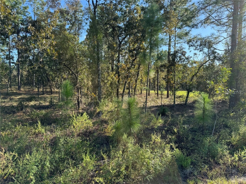 00 SW 152nd Place Dunnellon FL 34432 OM708312 image8