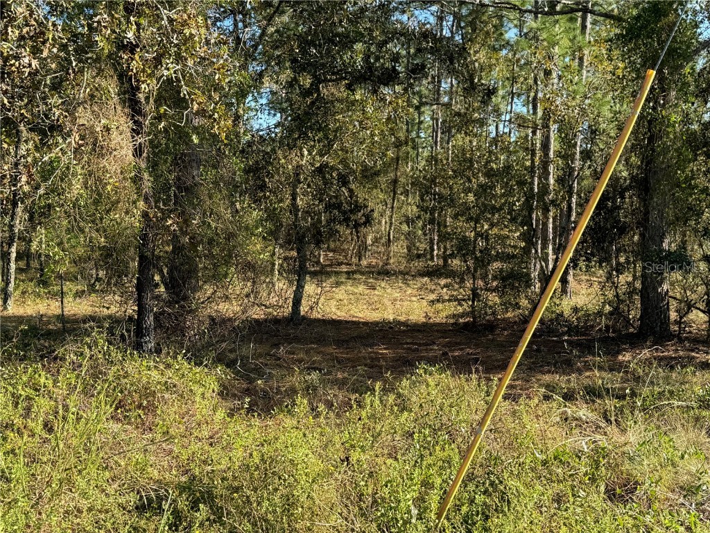 00 SW 152nd Place Dunnellon FL 34432 OM708312 image9