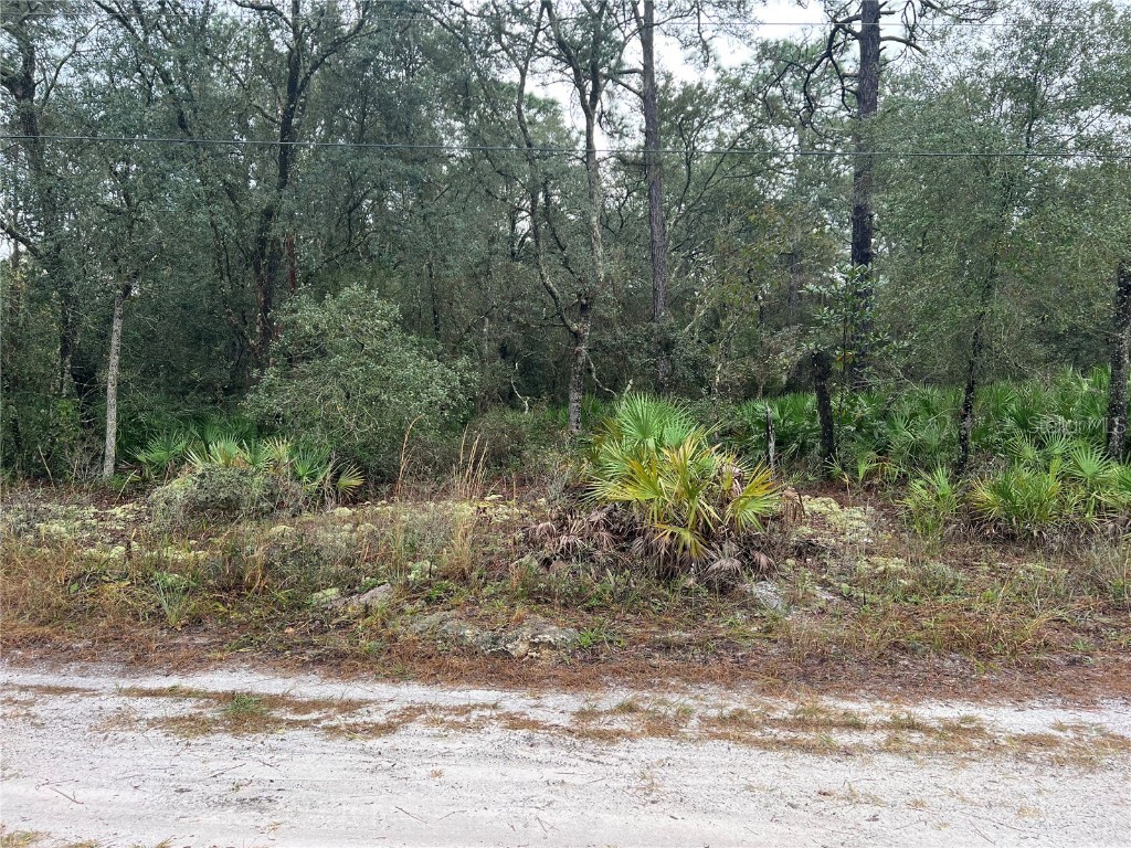 00 SW 153 Lane Dunnellon FL 34432 OM668229 image1